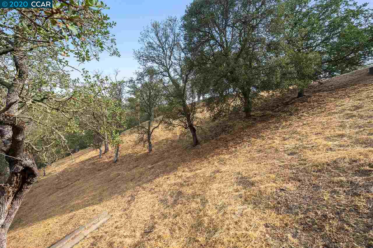 2525 Biltmore Dr, ALAMO, California 94507, ,Lots And Land,For Sale,Biltmore Dr,40917986