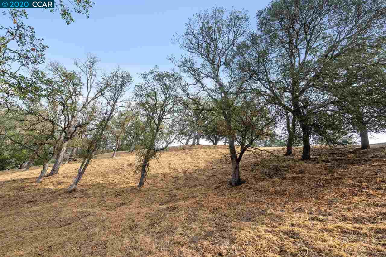 2525 Biltmore Dr, ALAMO, California 94507, ,Lots And Land,For Sale,Biltmore Dr,40917986