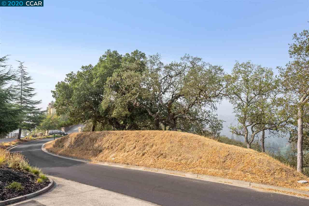 2525 Biltmore Dr, ALAMO, California 94507, ,Lots And Land,For Sale,Biltmore Dr,40917986