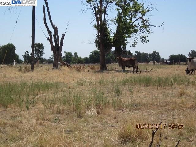 9366 El Modena, ELVERTA, California 95626, ,Lots And Land,For Sale,El Modena,40919019