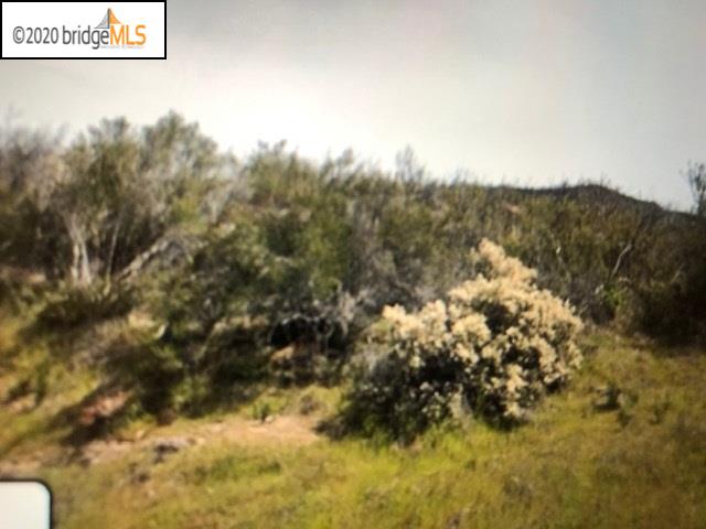 21506 Morgan Valley Rd, LOWER LAKE, California 95457, ,Lots And Land,For Sale,Morgan Valley Rd,40919254