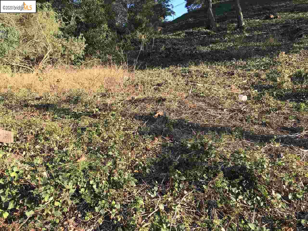 0 Keeler, BERKELEY, California 94708, ,Lots And Land,For Sale,Keeler,40919546