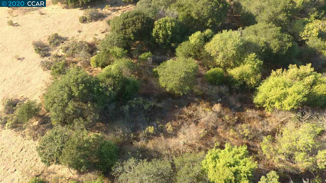 0 Oak Knoll Road, EL SOBRANTE, California 94803, ,Lots And Land,For Sale,Oak Knoll Road,40920853