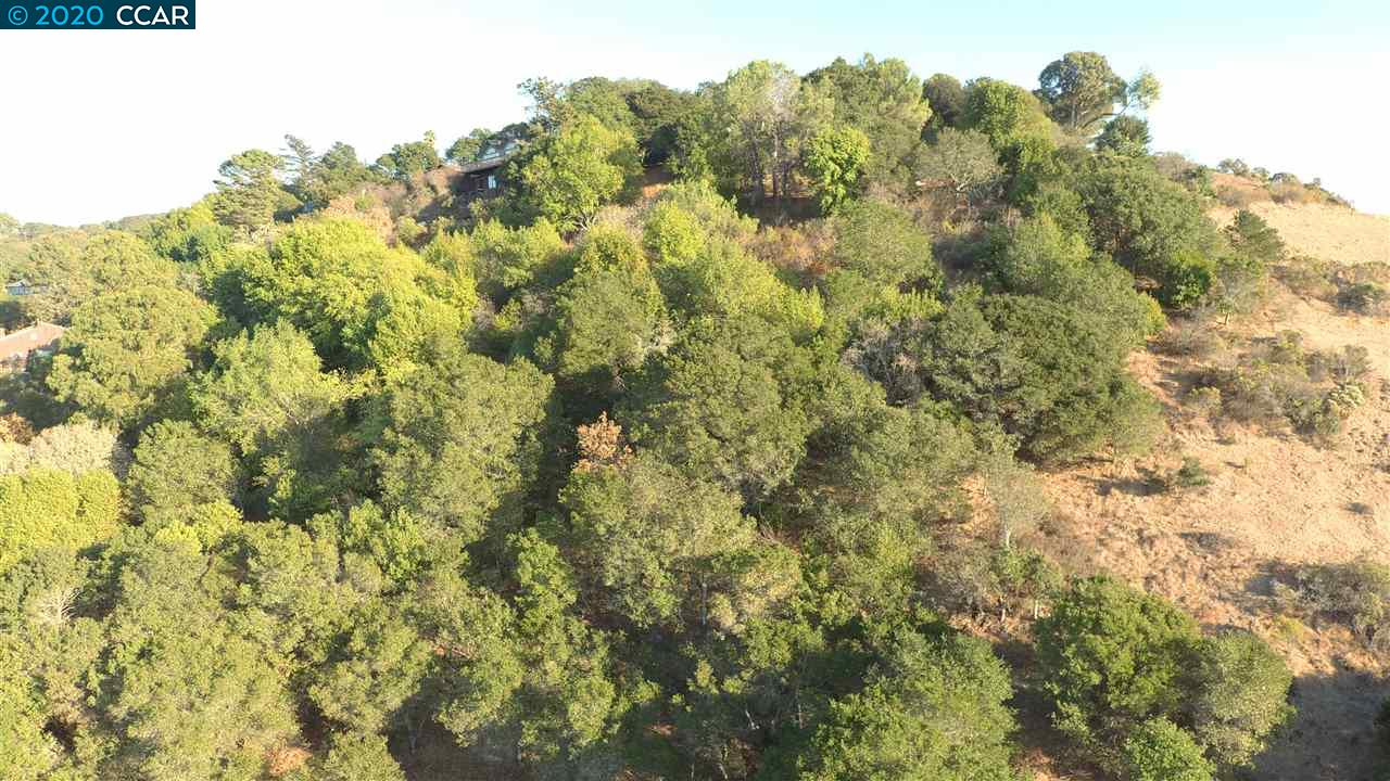 0 Oak Knoll Road, EL SOBRANTE, California 94803, ,Lots And Land,For Sale,Oak Knoll Road,40920853
