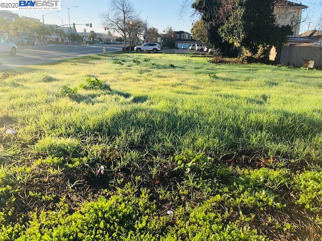 31011 Union City Blvd, UNION CITY, California 94587, ,Lots And Land,For Sale,Union City Blvd,40921866