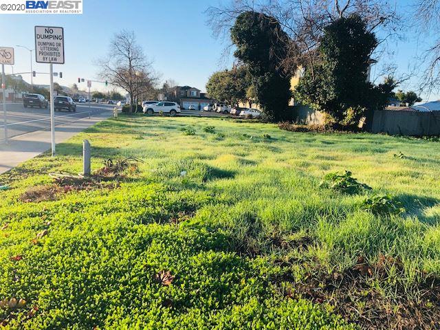31011 Union City Blvd, UNION CITY, California 94587, ,Lots And Land,For Sale,Union City Blvd,40921866