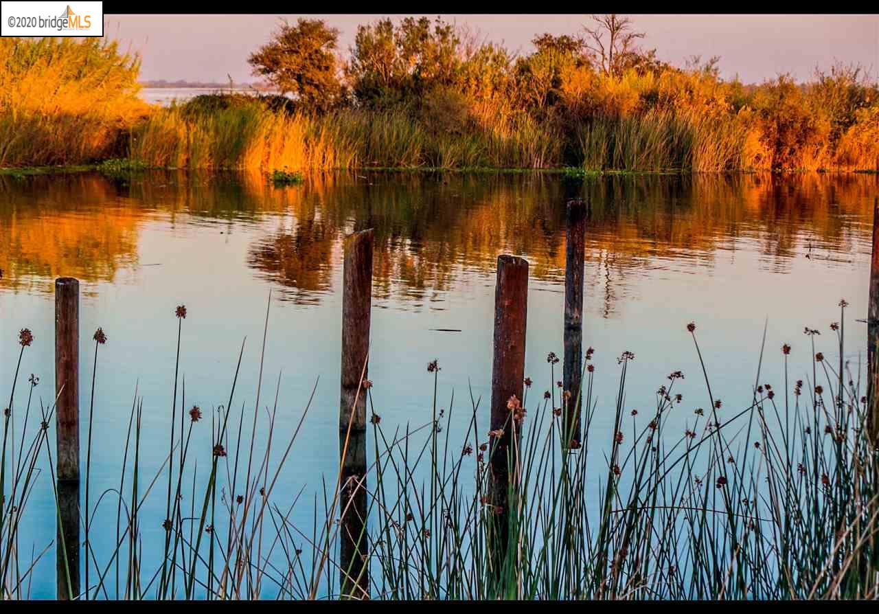 6961 Riverview Road, BETHEL ISLAND, California 94511, ,Lots And Land,For Sale,6961 Riverview Road,40921869