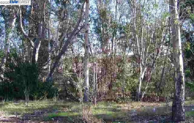 700 Stanley East Blvd, LIVERMORE, California 94550, ,Comm Lots And Land,For Sale,Stanley East Blvd,40922824