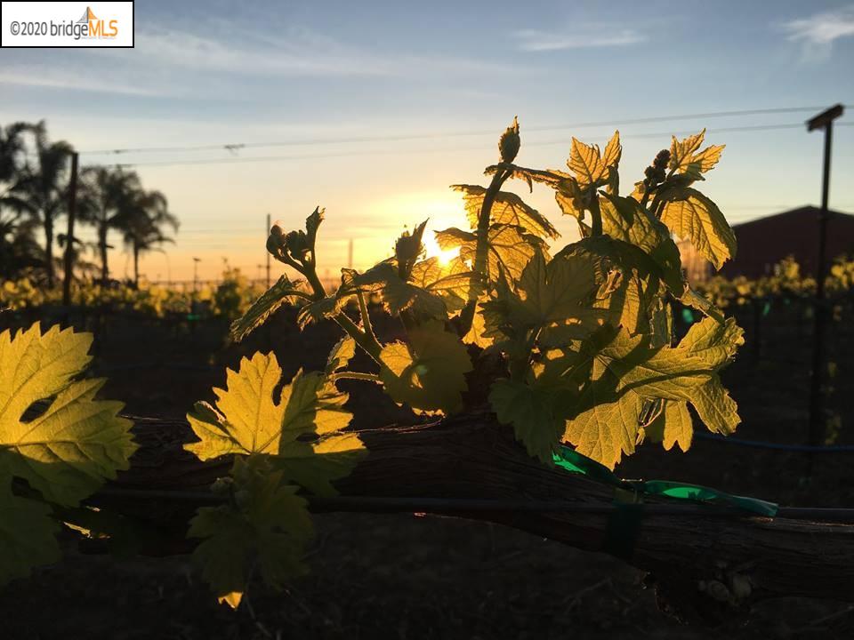2551 Bartels Dr, KNIGHTSEN, California 94548, ,Lots And Land,For Sale,Bartels Dr,40922547