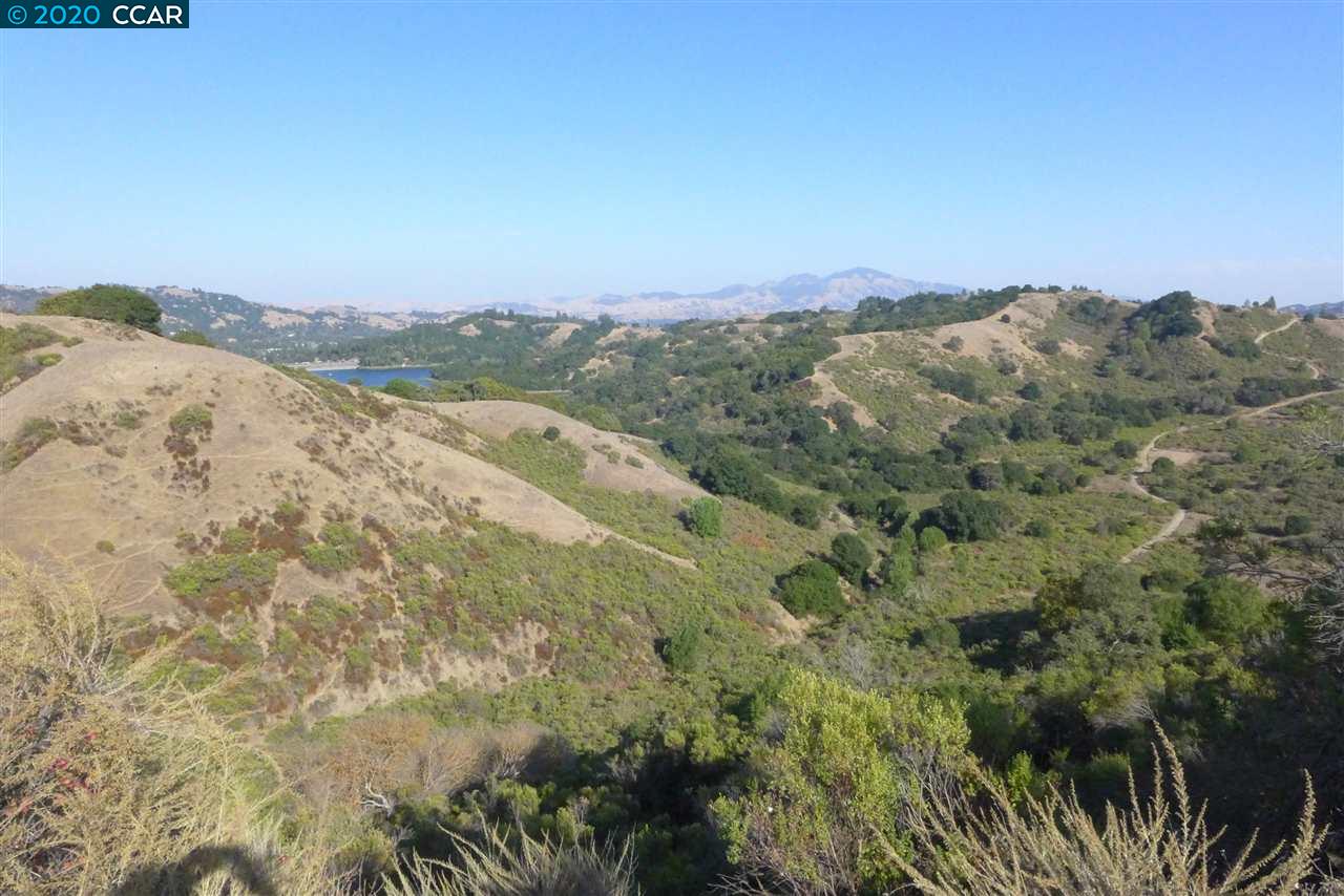 6 PATRICK LN, ORINDA, California 94563, ,Lots And Land,For Sale,PATRICK LN,40922742