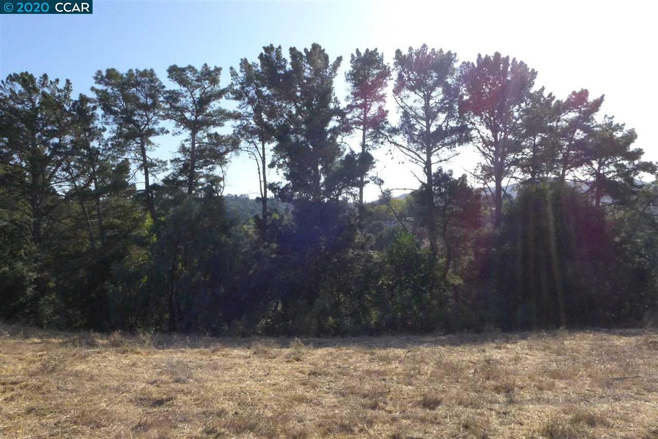6 PATRICK LN, ORINDA, California 94563, ,Lots And Land,For Sale,PATRICK LN,40922742