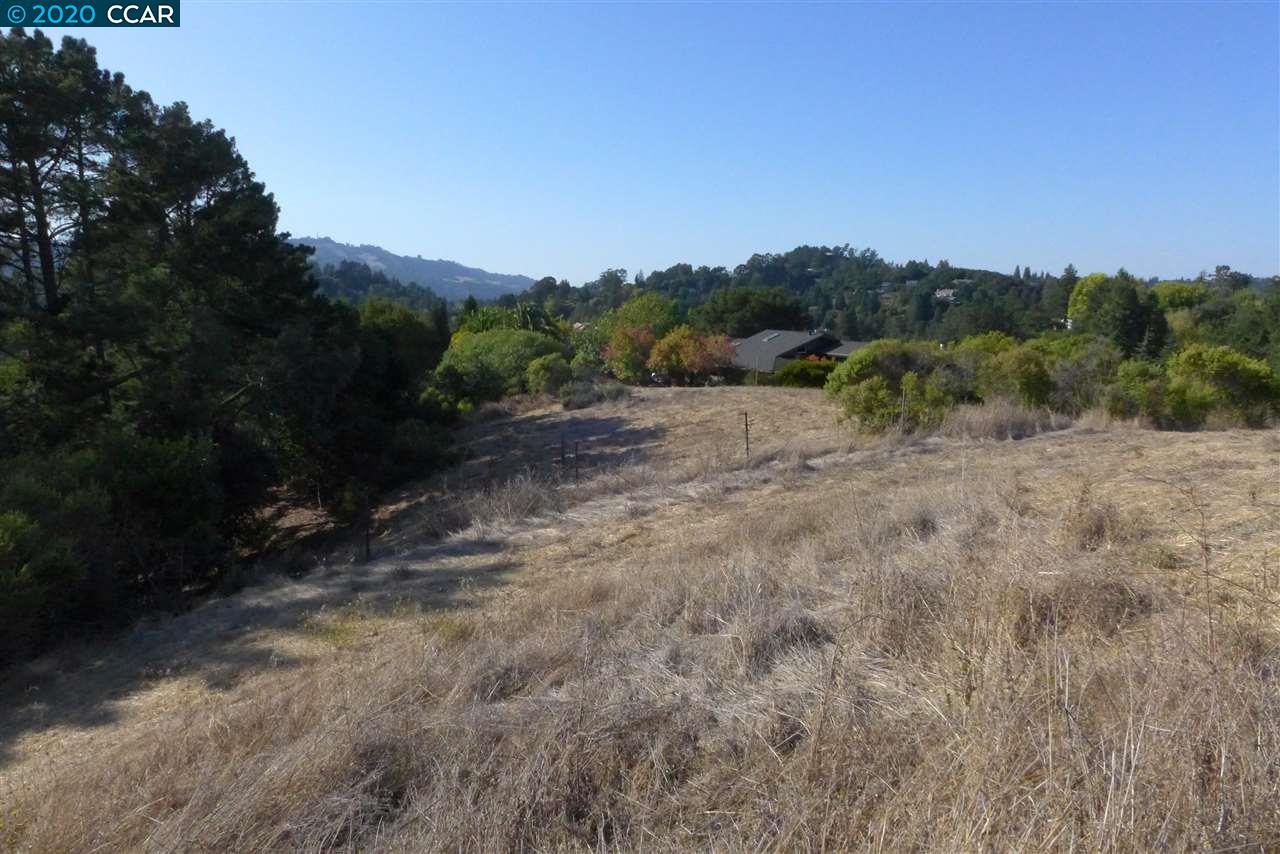 6 PATRICK LN, ORINDA, California 94563, ,Lots And Land,For Sale,PATRICK LN,40922742