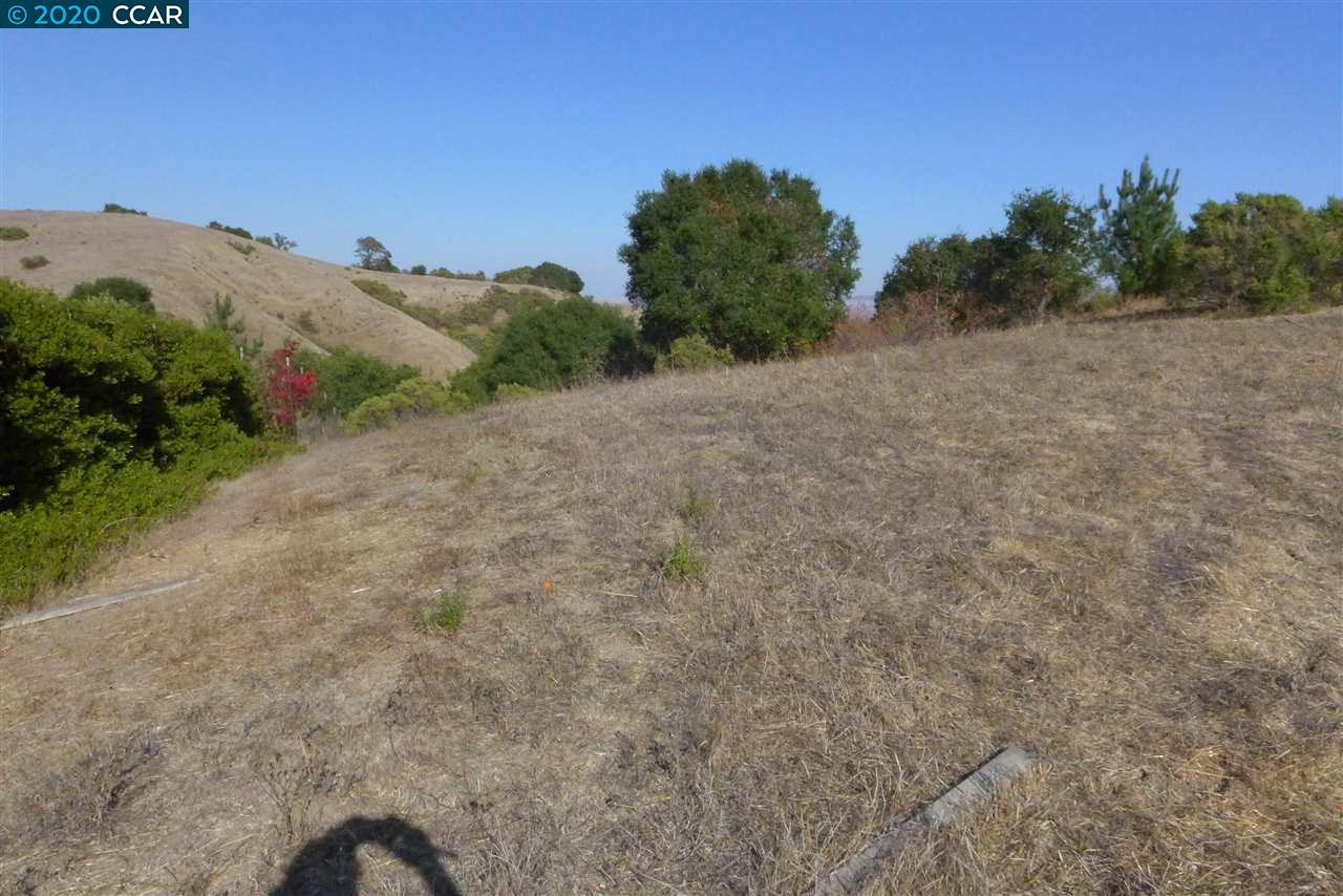 6 PATRICK LN, ORINDA, California 94563, ,Lots And Land,For Sale,PATRICK LN,40922742