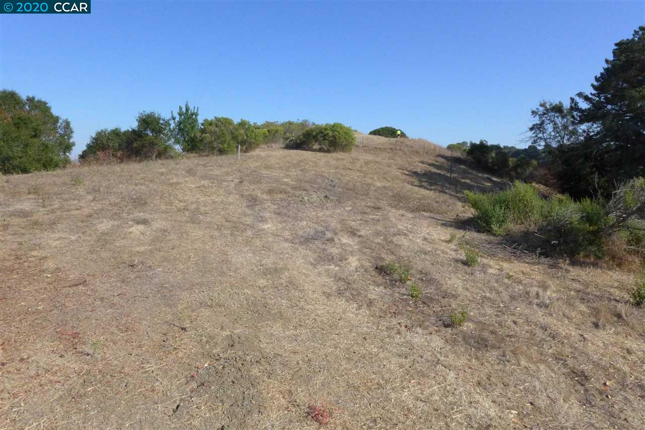 6 PATRICK LN, ORINDA, California 94563, ,Lots And Land,For Sale,PATRICK LN,40922742