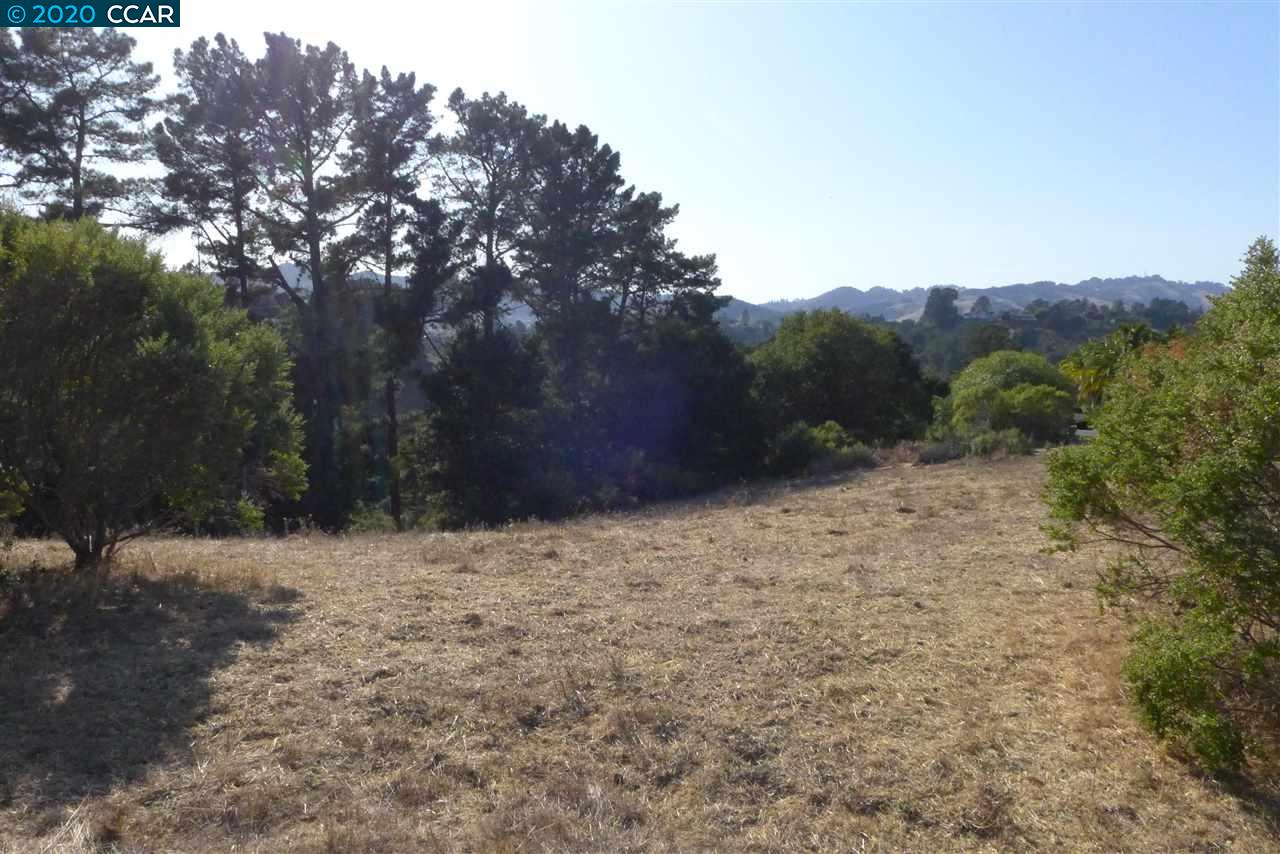 6 PATRICK LN, ORINDA, California 94563, ,Lots And Land,For Sale,PATRICK LN,40922742