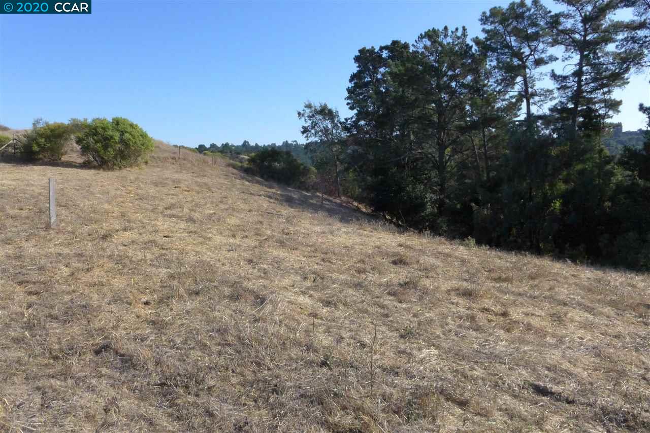 6 PATRICK LN, ORINDA, California 94563, ,Lots And Land,For Sale,PATRICK LN,40922742