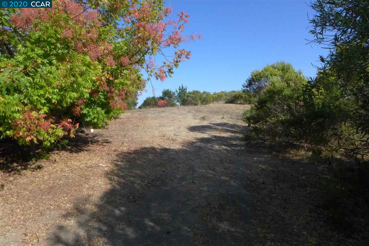 6 PATRICK LN, ORINDA, California 94563, ,Lots And Land,For Sale,PATRICK LN,40922742
