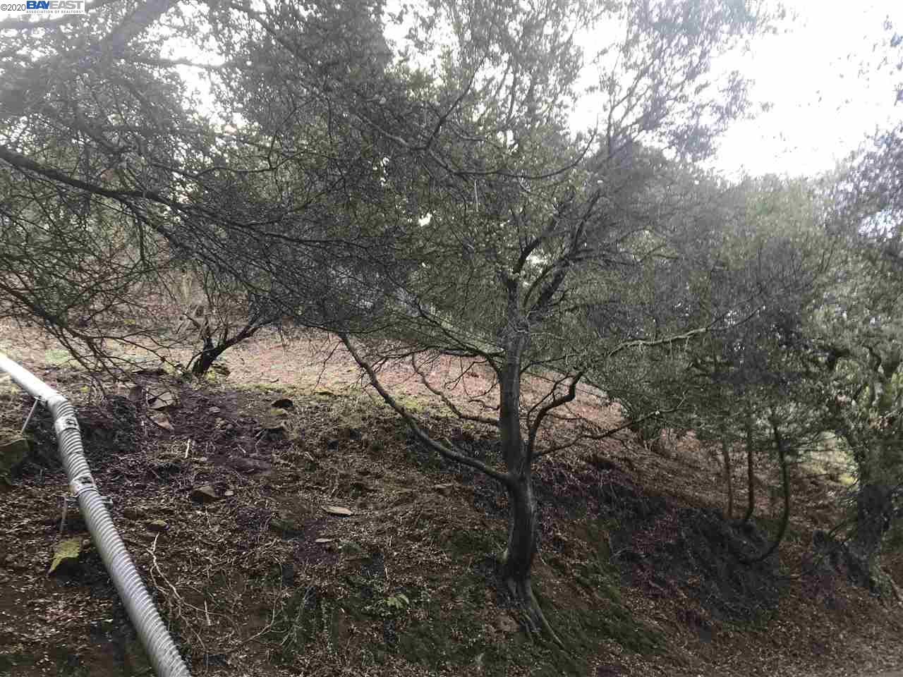 0 Chelton Dr., OAKLAND, California 94611, ,Lots And Land,For Sale,Chelton Dr.,40922830