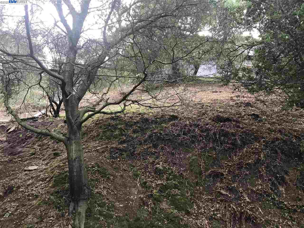 0 Chelton Dr., OAKLAND, California 94611, ,Lots And Land,For Sale,Chelton Dr.,40922830
