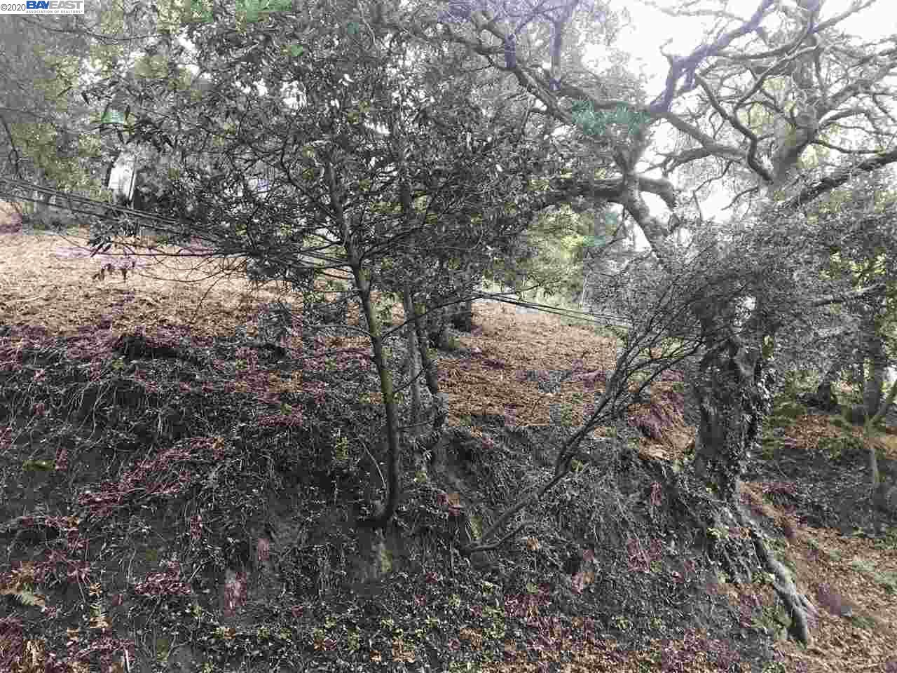 0 Chelton Dr., OAKLAND, California 94611, ,Lots And Land,For Sale,Chelton Dr.,40922830