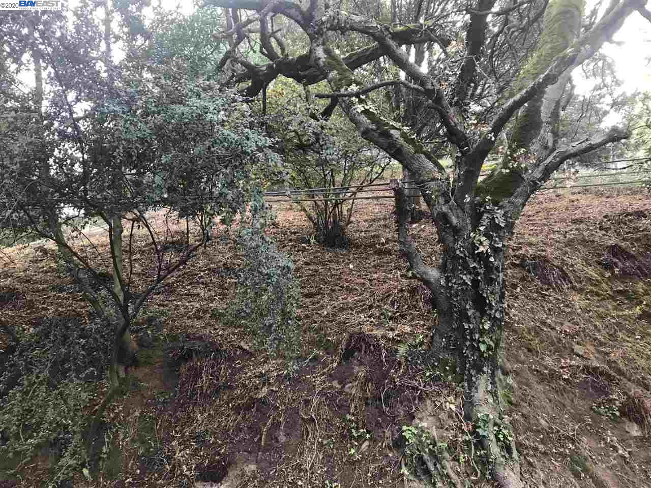 0 Chelton Dr., OAKLAND, California 94611, ,Lots And Land,For Sale,Chelton Dr.,40922830