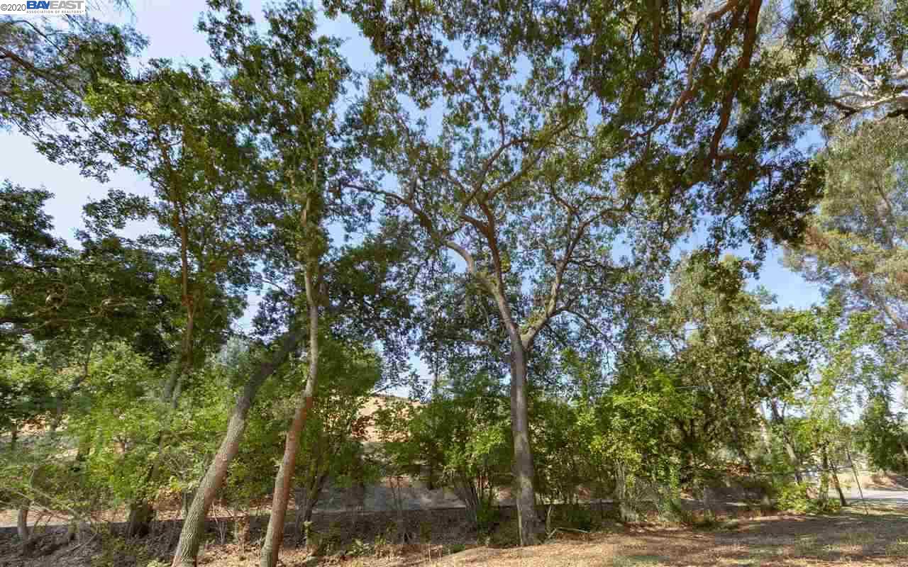 968 Happy Valley Rd, PLEASANTON, California 94566, ,Lots And Land,For Sale,Happy Valley Rd,40922834