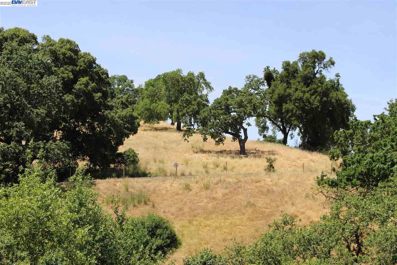 4108 Foothill Rd, PLEASANTON, California 94588, ,Lots And Land,For Sale,Foothill Rd,40924300