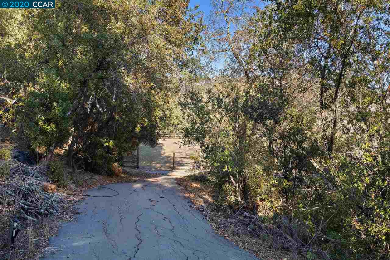 4142 Canyon Road, LAFAYETTE, California 94549, ,Lots And Land,For Sale,Canyon Road,40924306