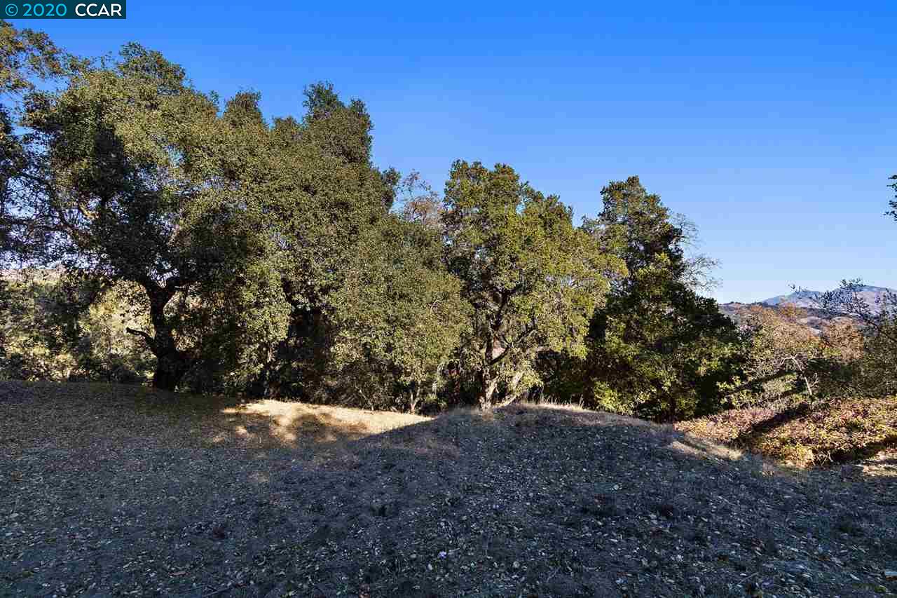 4142 Canyon Road, LAFAYETTE, California 94549, ,Lots And Land,For Sale,Canyon Road,40924306