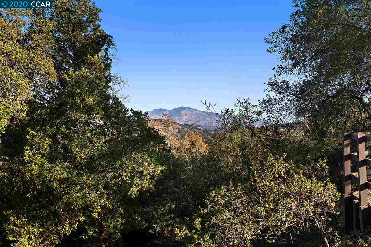 4142 Canyon Road, LAFAYETTE, California 94549, ,Lots And Land,For Sale,Canyon Road,40924306