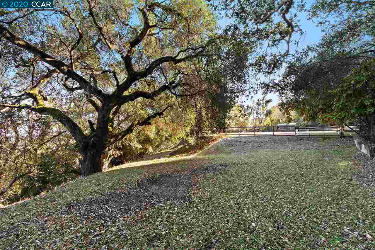 4142 Canyon Road, LAFAYETTE, California 94549, ,Lots And Land,For Sale,Canyon Road,40924306