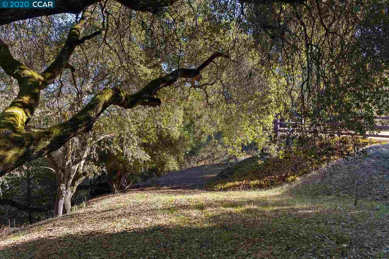 4142 Canyon Road, LAFAYETTE, California 94549, ,Lots And Land,For Sale,Canyon Road,40924306