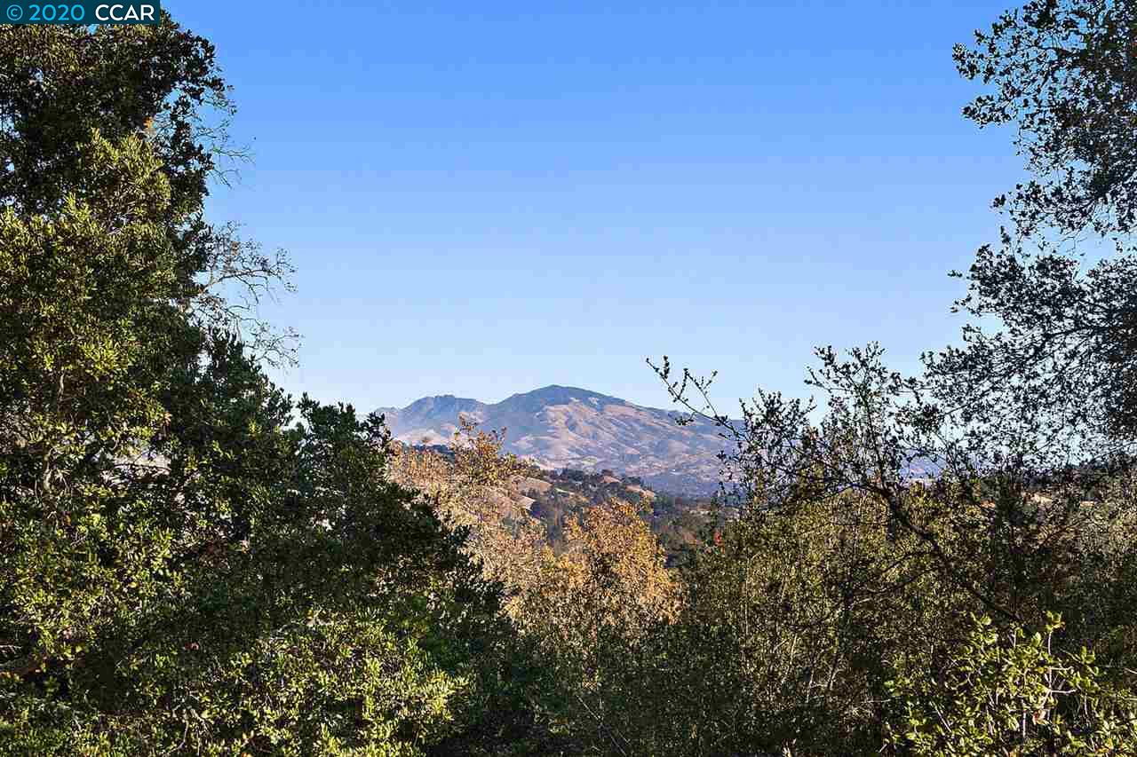 4142 Canyon Road, LAFAYETTE, California 94549, ,Lots And Land,For Sale,Canyon Road,40924306