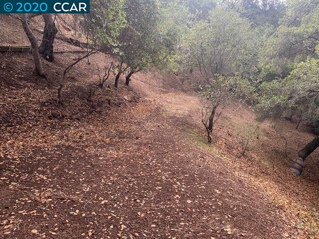 Mountain View Ave, OAKLAND, California 94605, ,Lots And Land,For Sale,Mountain View Ave,40932959