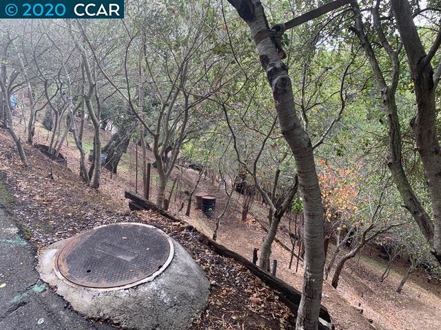 Mountain View Ave, OAKLAND, California 94605, ,Lots And Land,For Sale,Mountain View Ave,40932959