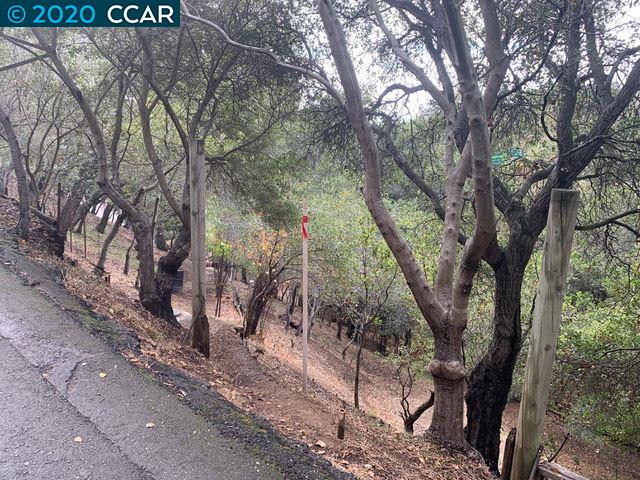 Mountain View Ave, OAKLAND, California 94605, ,Lots And Land,For Sale,Mountain View Ave,40932959