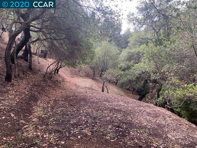 Mountain View Ave, OAKLAND, California 94605, ,Lots And Land,For Sale,Mountain View Ave,40932959