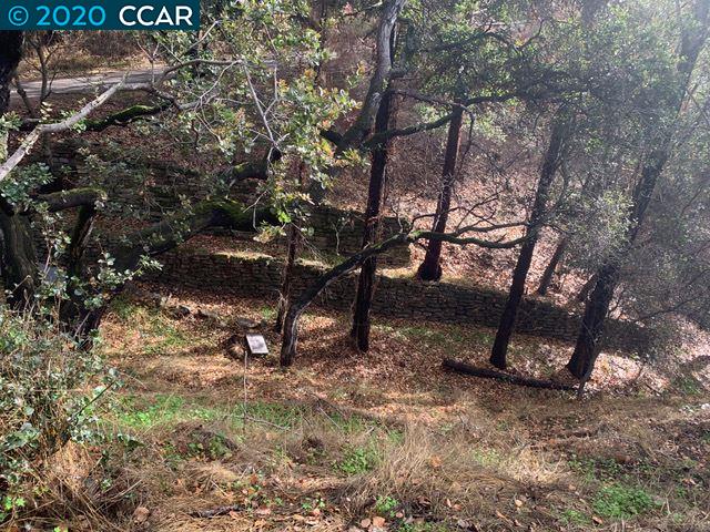 Mountain View Ave, OAKLAND, California 94605, ,Lots And Land,For Sale,Mountain View Ave,40932959