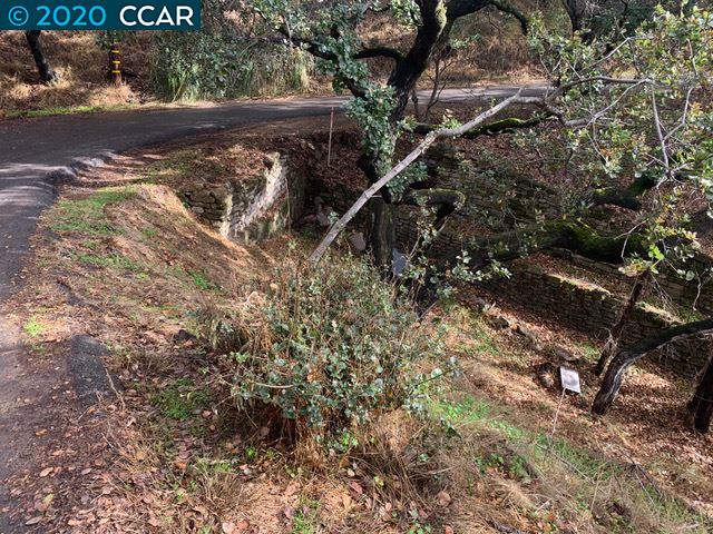 Mountain View Ave, OAKLAND, California 94605, ,Lots And Land,For Sale,Mountain View Ave,40932959