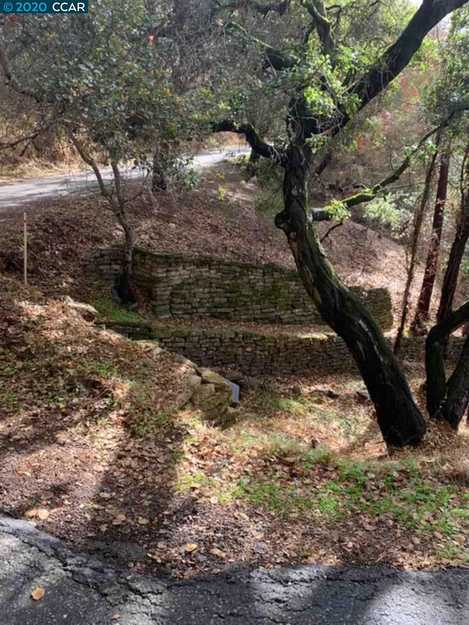 Mountain View Ave, OAKLAND, California 94605, ,Lots And Land,For Sale,Mountain View Ave,40932959
