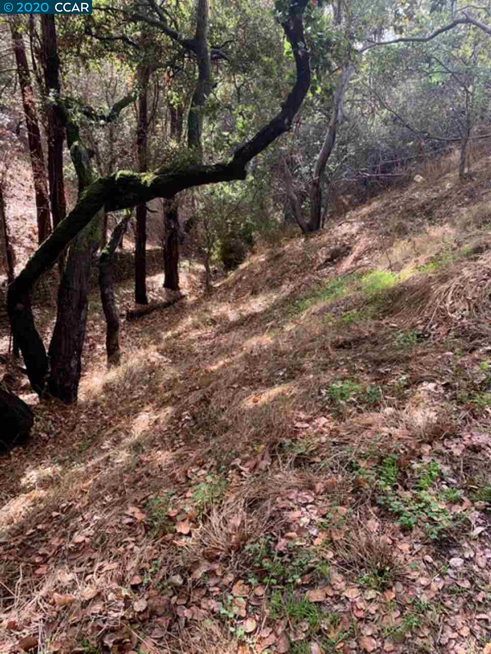 Mountain View Ave, OAKLAND, California 94605, ,Lots And Land,For Sale,Mountain View Ave,40932959