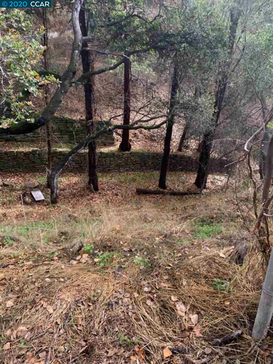 Mountain View Ave, OAKLAND, California 94605, ,Lots And Land,For Sale,Mountain View Ave,40932959