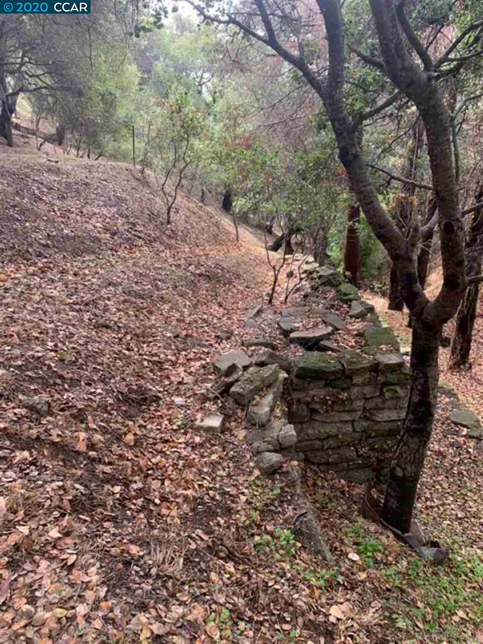 Mountain View Ave, OAKLAND, California 94605, ,Lots And Land,For Sale,Mountain View Ave,40932959