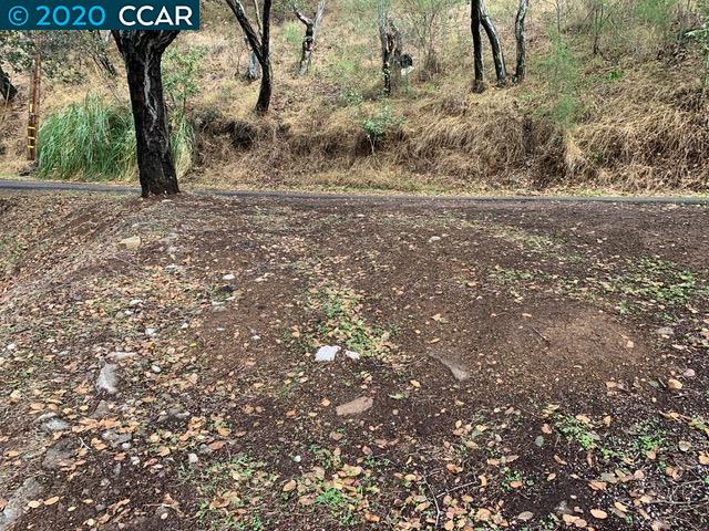 Mountain View Ave, OAKLAND, California 94605, ,Lots And Land,For Sale,Mountain View Ave,40932960