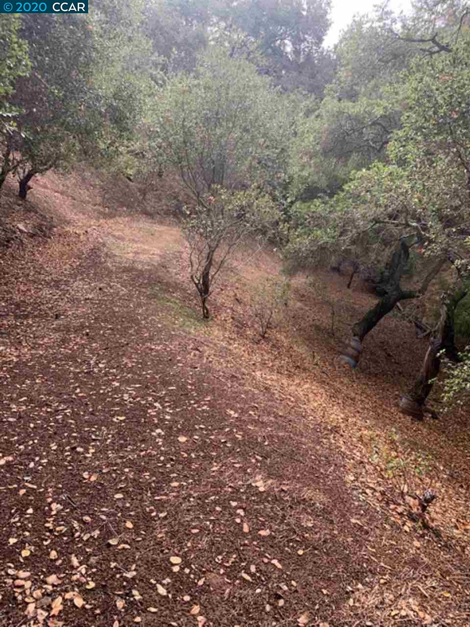 Mountain View Ave, OAKLAND, California 94605, ,Lots And Land,For Sale,Mountain View Ave,40932960