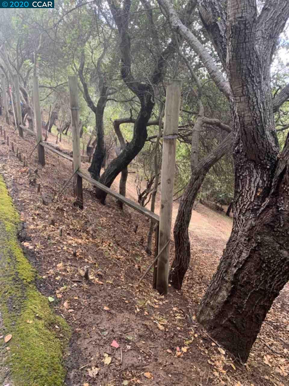 Mountain View Ave, OAKLAND, California 94605, ,Lots And Land,For Sale,Mountain View Ave,40932960
