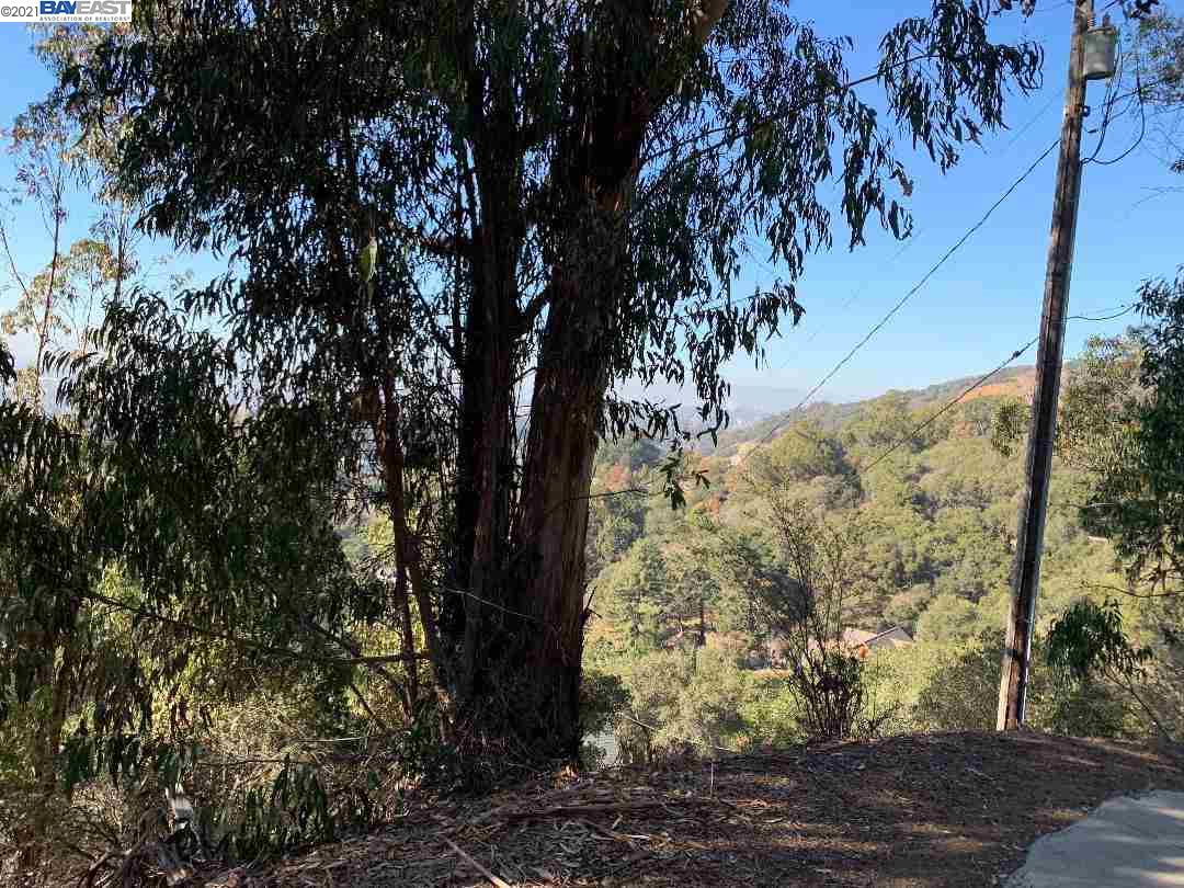 0 Altura Place, OAKLAND, California 94605, ,Lots And Land,For Sale,Altura Place,40967437