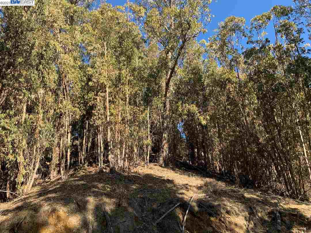 0 Altura Place, OAKLAND, California 94605, ,Lots And Land,For Sale,Altura Place,40967437