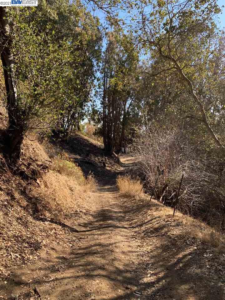 0 Altura Place, OAKLAND, California 94605, ,Lots And Land,For Sale,Altura Place,40967437