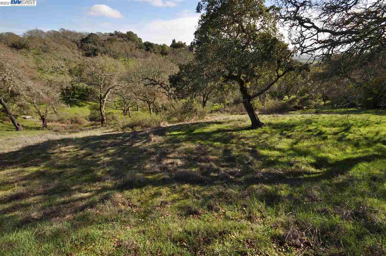 Crest Road, NOVATO, California 94945, ,Lots And Land,For Sale,Crest Road,40963564